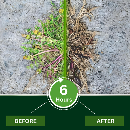 Ampherb® 2 in 1 Max Power Herbicide (𝟟𝟘% 𝕆𝔽𝔽 𝗘𝗡𝗗𝗦 𝗜𝗡 𝟭𝟬 𝗠𝗜𝗡𝗨𝗧𝗘𝗦)