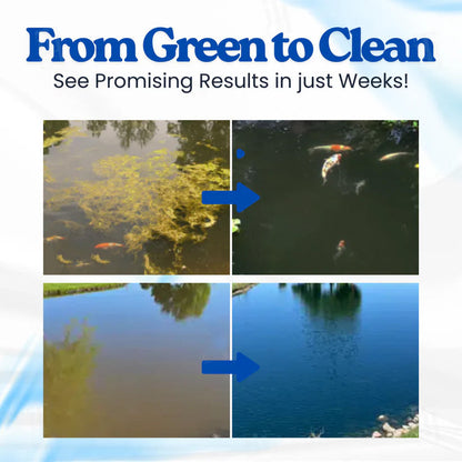 Official Store 丨AQUAVERE™ ECO-CLEAN FORMULA FOR  HEALTHY FISH & CLEAR WATER