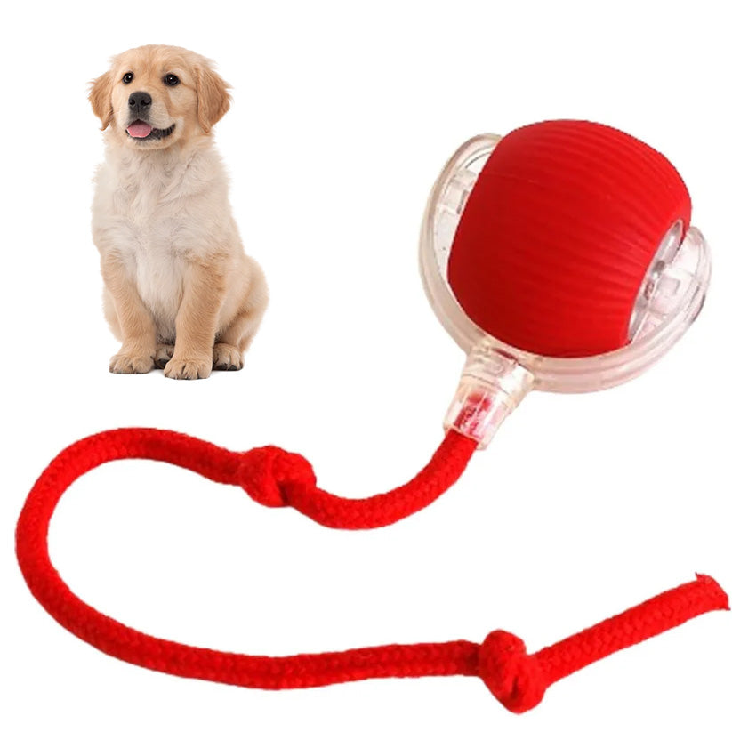 SEURICO™ Intelligent Automatic Rolling Pet Ball