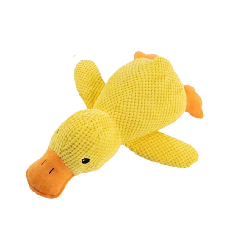 🦆The Quirky Quacker