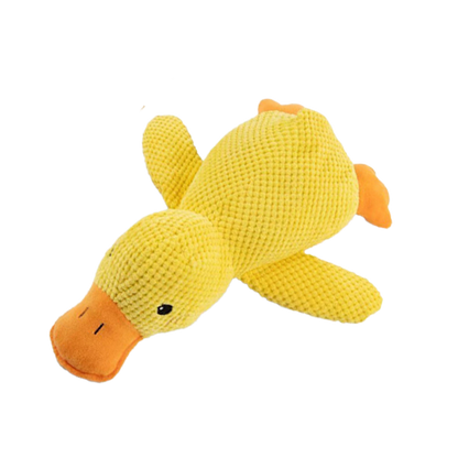 🦆The Quirky Quacker