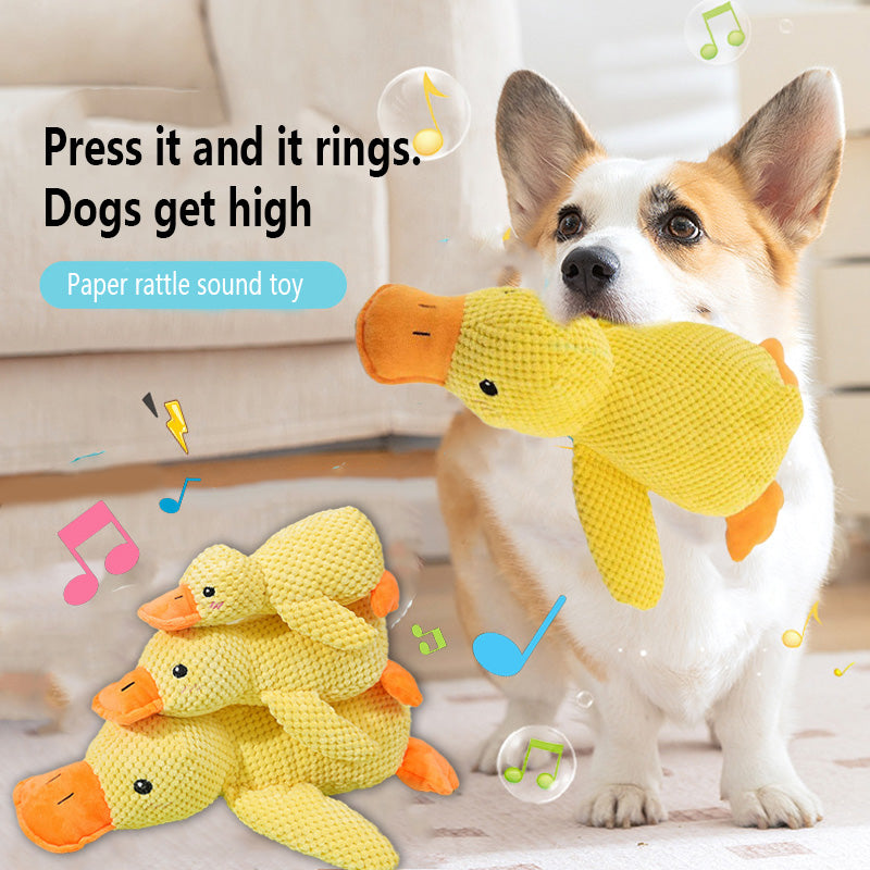 🦆The Quirky Quacker