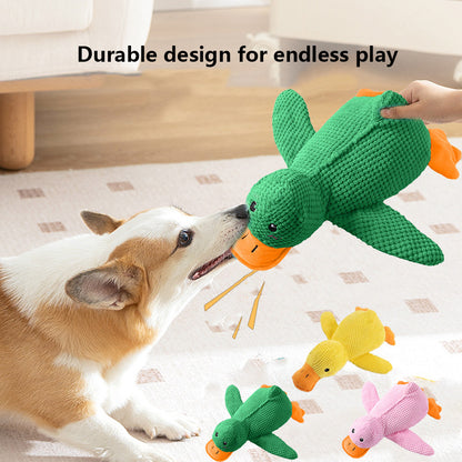 🦆The Quirky Quacker