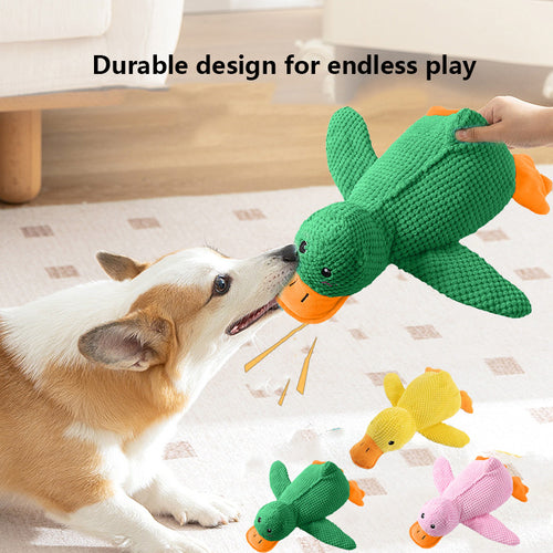 🦆The Quirky Quacker