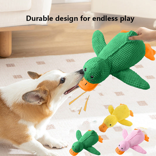 🦆The Quirky Quacker