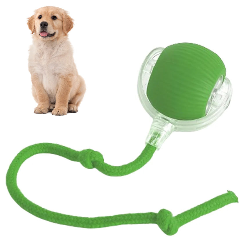 SEURICO™ Intelligent Automatic Rolling Pet Ball