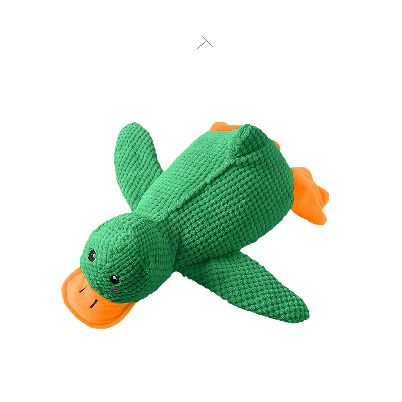 🦆The Quirky Quacker