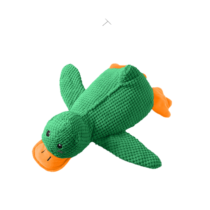 🦆The Quirky Quacker