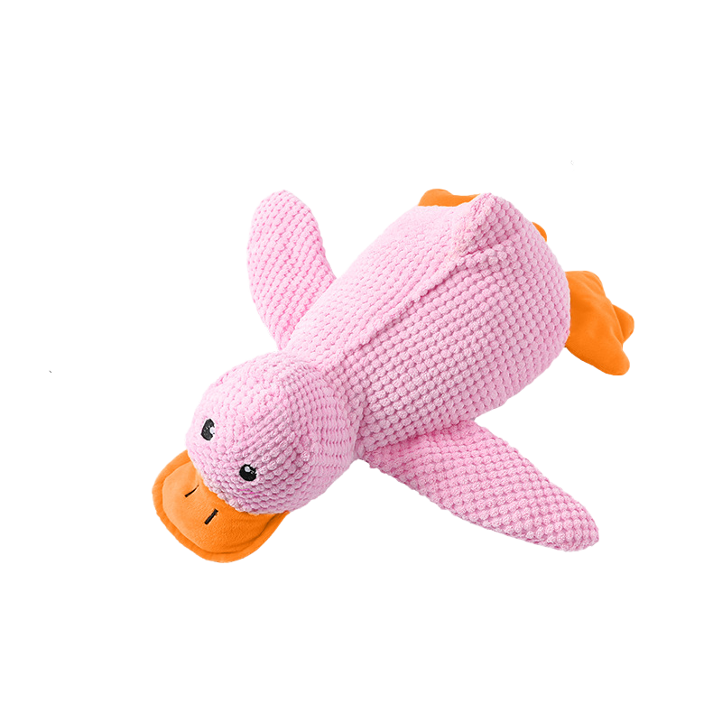 🦆The Quirky Quacker