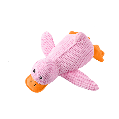 🦆The Quirky Quacker