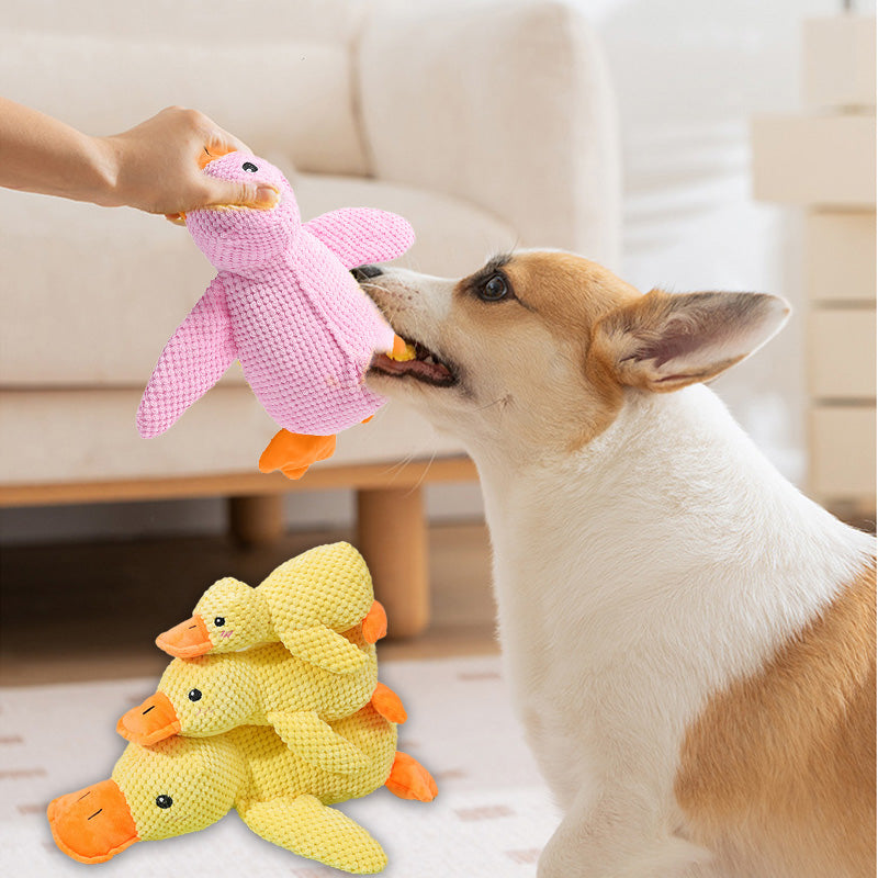 🦆The Quirky Quacker