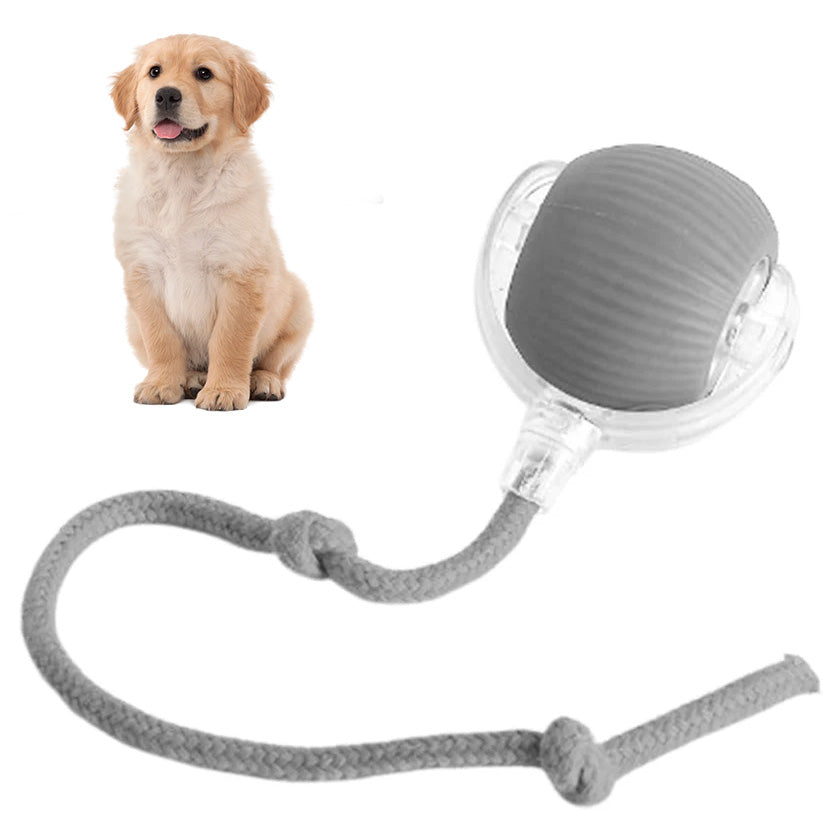 SEURICO™ Intelligent Automatic Rolling Pet Ball