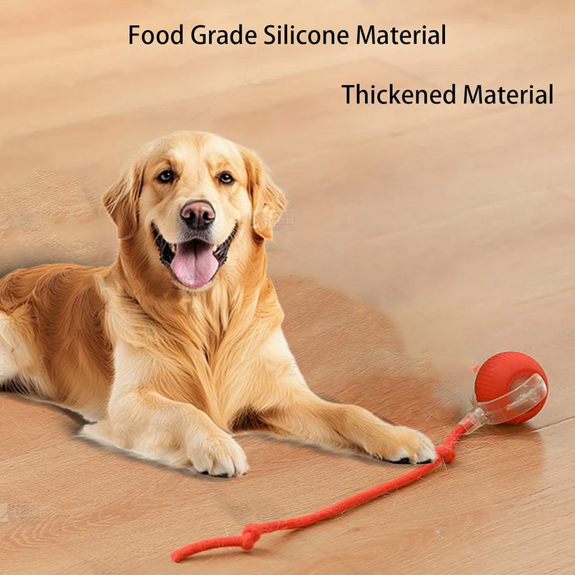 SEURICO™ Intelligent Automatic Rolling Pet Ball