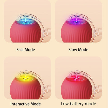 SEURICO™ Intelligent Automatic Rolling Pet Ball