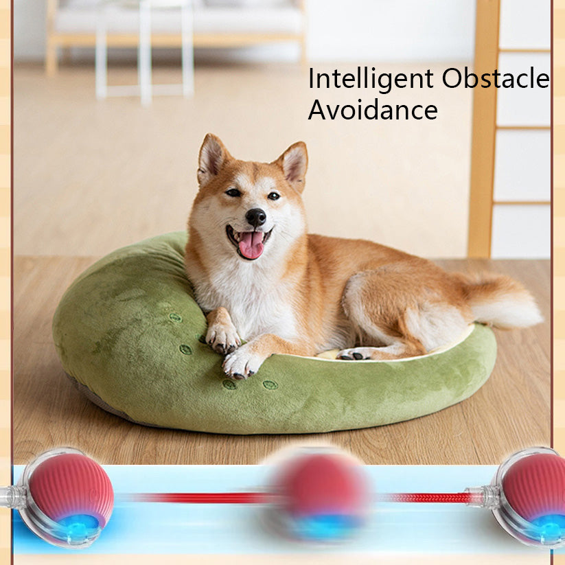 SEURICO™ Intelligent Automatic Rolling Pet Ball