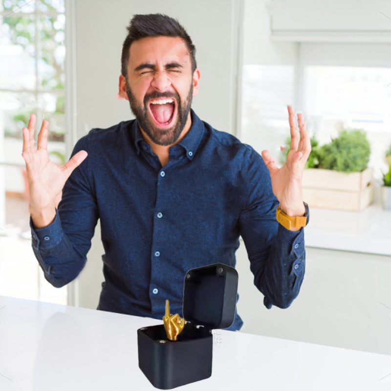The Flip Box" — Hilarious Middle Finger Prank Gift