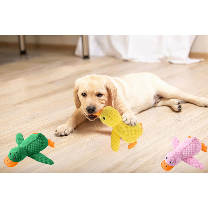 🦆The Quirky Quacker