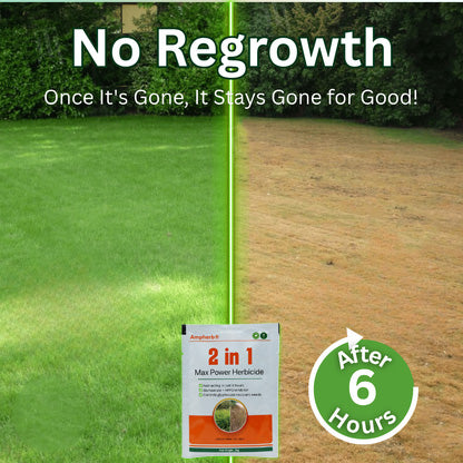 Ampherb® 2 in 1 Max Power Herbicide (𝟟𝟘% 𝕆𝔽𝔽 𝗘𝗡𝗗𝗦 𝗜𝗡 𝟭𝟬 𝗠𝗜𝗡𝗨𝗧𝗘𝗦)