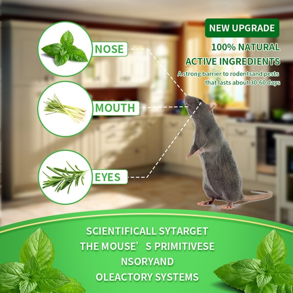 Natural Peppermint Pest Repellent Balls (12-Pack) - Keep Mice, Rats & Spiders Away Safely!
