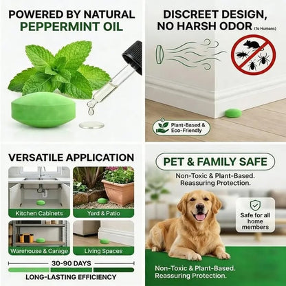 Natural Peppermint Pest Repellent Balls (12-Pack) - Keep Mice, Rats & Spiders Away Safely!